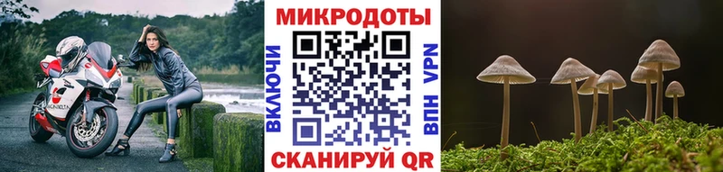 наркотики  Сковородино  Псилоцибиновые грибы Magic Shrooms 